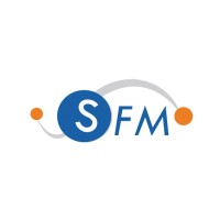 SFM Technologies Cameroun logo - Similar company to High Tuning Services