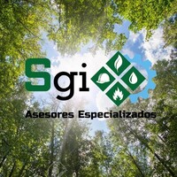 Sgi Asesores Especializados