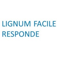 Lignum Facile Responde logo - Similar company to A3 Proyectos