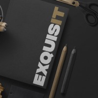 Exquisit logo - Similar company to Cloudpact.Eu