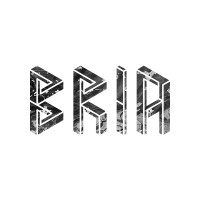 BRIA logo - Similar company to Techstyler