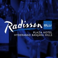 Radisson Blu Plaza Hyderabad logo - Similar company to 23Dot4