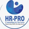 HR-Pro Consulting & Services logo - Similar company to Boc Technology