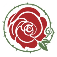 Rose Movement Studio