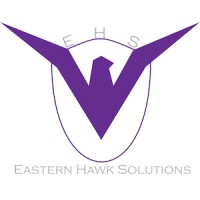 Eastern Hawk Solutions logo - Similar company to Covosys