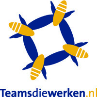 Teamsdiewerken logo - Similar company to Spiral Drives