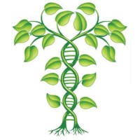 DNAAdoption logo - Similar company to Applied Behavioral Consultants, Llc