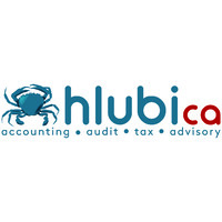 Hlubi Chartered Accountants logo - Similar company to Ramathe Chartered Accountants