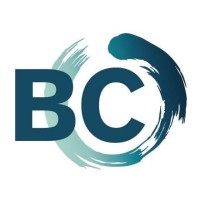 Boraine Consulting logo - Similar company to Radiant Intel