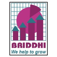 BRIDDHI- Industrial & Marketing Consultants logo - Similar company to Designhub