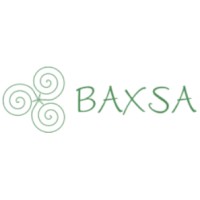 BAXSA s.r.l. - Termografia e servizi di ingegneria logo - Similar company to Pubblica Assistenza