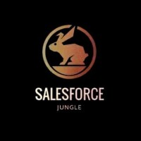 Salesforce Jungle logo - Similar company to Verthori