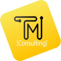 T&M Consultings logo - Similar company to 6Tm Consulting