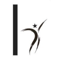 haakwin logo - Similar company to Cognitive It