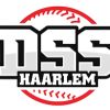 DSS Honk- Softbal logo - Similar company to Kinheim