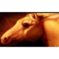 Firehorse Films logo - Similar company to Triarc
