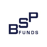 BSP Funds LTD logo - Similar company to It Founders Academy