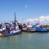 American Tugs Inc