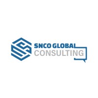 SNCO Global Consulting LLP logo - Similar company to S N & Co.