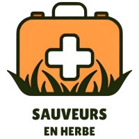 Sauveurs En Herbe
