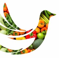 Farmate Processed Fruit Cluster Foundation logo - Similar company to Educora Technologies Pvt Ltd.