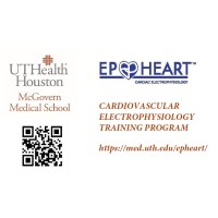 UTHealth EP Heart Cardiovascular Electrophysiology Training Program-The ten Broeke Family Foundation logo - Similar company to B2B Remote Consultant Solutions