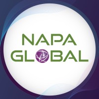 NAPA Global logo - Similar company to Vj Technologies