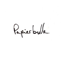 Papierbulle logo - Similar company to Cognikids™