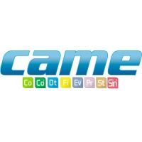 Came Business And Government Solutions, S.A De C.V.