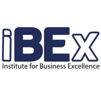 IBEX – Institute for Business Excellence logo - Similar company to Triunica Gamification