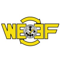 Waterloo Engineering Endowment Foundation logo - Similar company to Pearl Sullivan Engineering Ideas Clinic