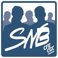 SNB/CFE-CGC Banque Française Mutualiste logo - Similar company to Syndicat National De La Banque Snb/Cfe-Cgc Lcl Gpse
