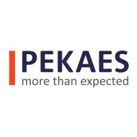 PEKAES Group logo - Similar company to Next Level