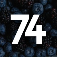 Point74 logo - Similar company to Untapped