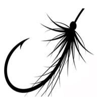 Fly Fish Advertising, LLC. logo - Similar company to Focal Point Imaging
