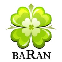 Baran Business Development Solutions | توسعه راهکارهای کسب و کار باران logo - Similar company to Baran Software Group