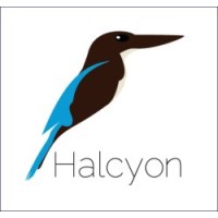 Halcyon Futurist Foundation logo - Similar company to Wethetrillions