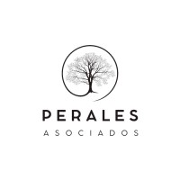 Perales Asociados logo - Similar company to Techday Asia