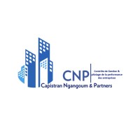 Capistran NGANGOUM & Partners logo - Similar company to Tchokos Holding Consulting Group