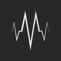 Medici Vermittlung GmbH logo - Similar company to Emc Adam Gmbh