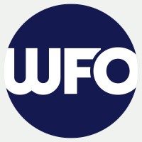 World Flourishing Organization logo - Similar company to Disco | Disruptive Consulting 🪩