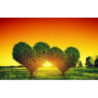 Heartland Wellness Retreat and Spa logo - Similar company to Restoremd