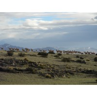 Carrera de Especialización y Maestría en Conservación de la Biodiversidad logo - Similar company to Equinova