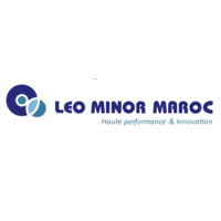 Leo Minor Maroc logo - Similar company to G.M.Electronics