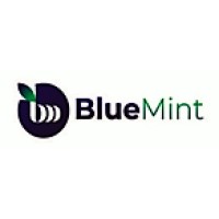 Blue Mint Pvt. Ltd. logo - Similar company to Bpo Solutions 360