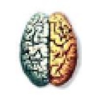 Brain Dynamics Groningen