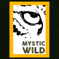 Mystic Wild Private Limited logo - Similar company to Oboulo International Limited