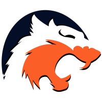 DEL Solutions logo - Similar company to Rj Projects