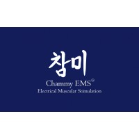 Chammy EMS B.V. logo - Similar company to Ion International