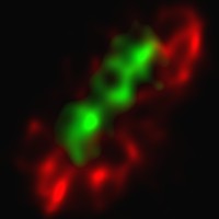 3DNanoscopy logo - Similar company to Spermotile